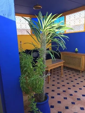 Riad Authentic Moroccan Charm Apartment In Marrakech Terrace Marrakesh
