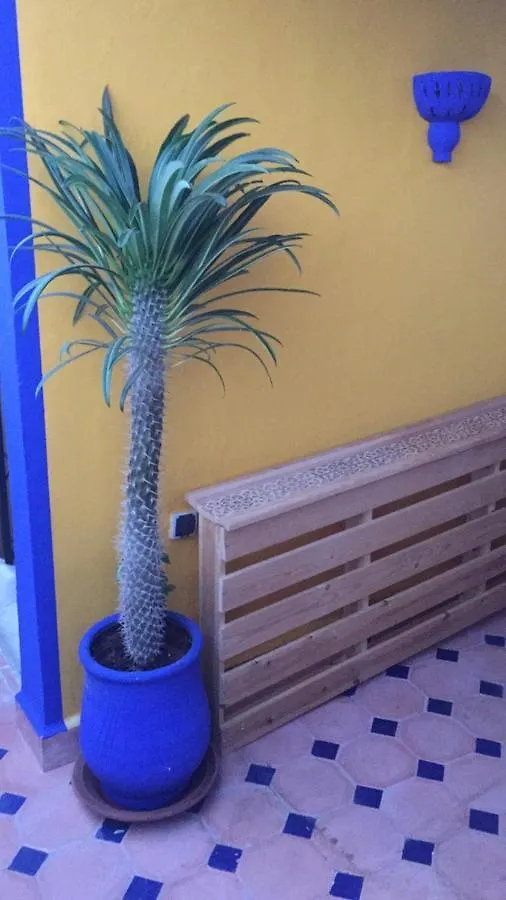 Authentic Moroccan Charm Apartment In Marrakech Terrace Marrakesh