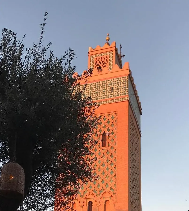 Authentic Moroccan Charm Apartment In Marrakech Terrace Marrakesh