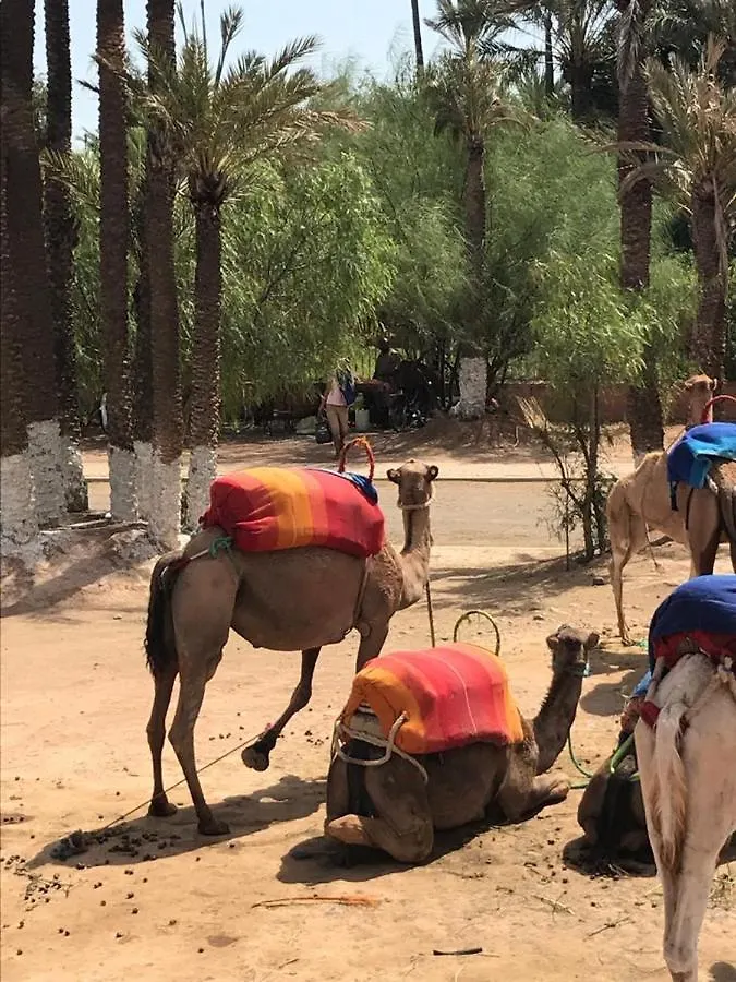 리야드 Authentic Moroccan Charm Apartment In Marrakech Terrace 마라케시 모로코